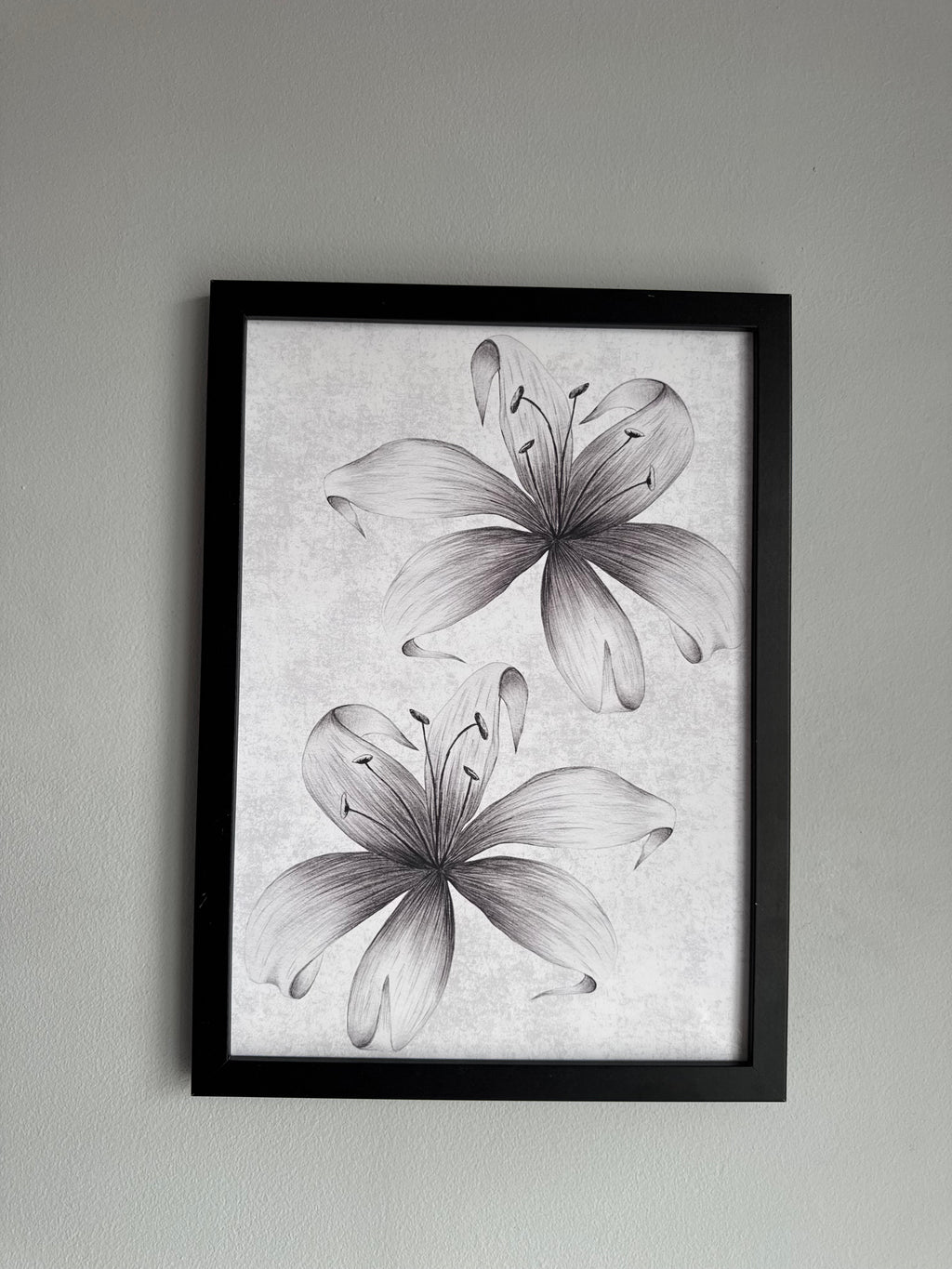 Lillies | Monochrome | Minimalistic - Black & Grey | Textured Style Background - A4 Print
