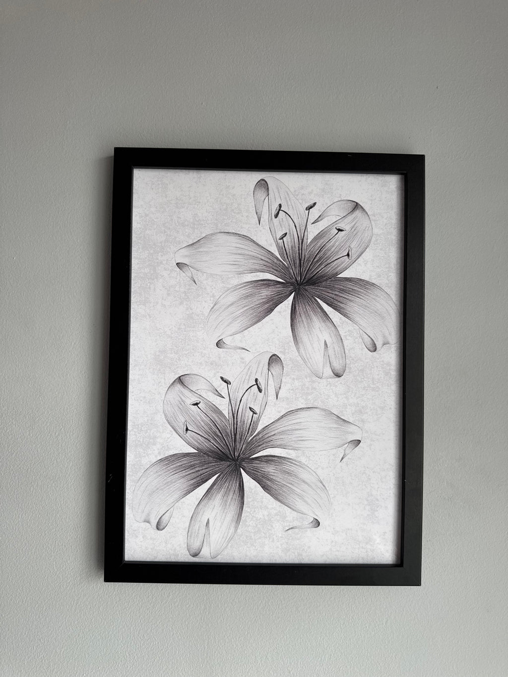 Lillies | Monochrome | Minimalistic - Black & Grey | Textured Style Background - A4 Print