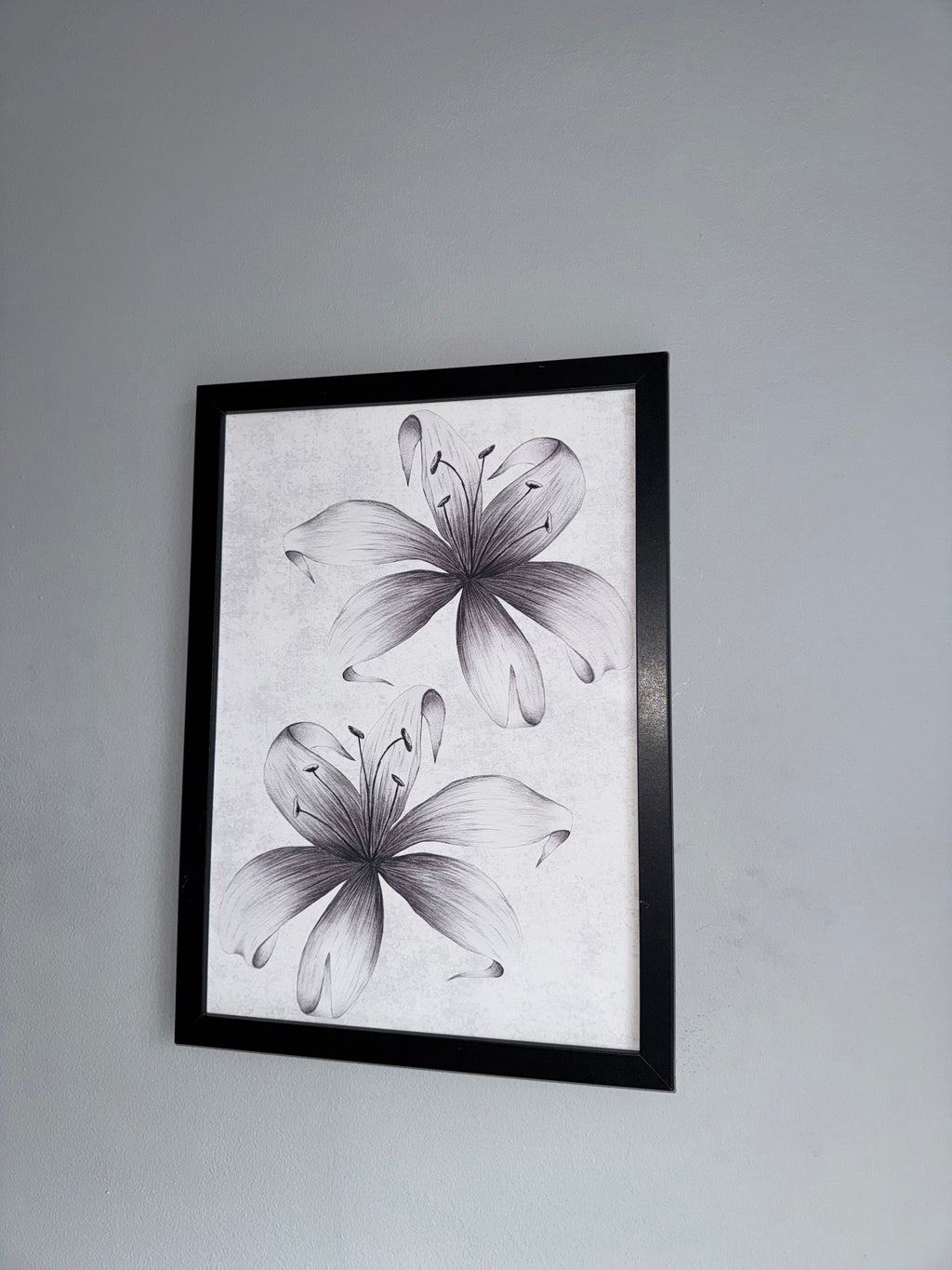 Lillies | Monochrome | Minimalistic - Black & Grey | Textured Style Background - A4 Print
