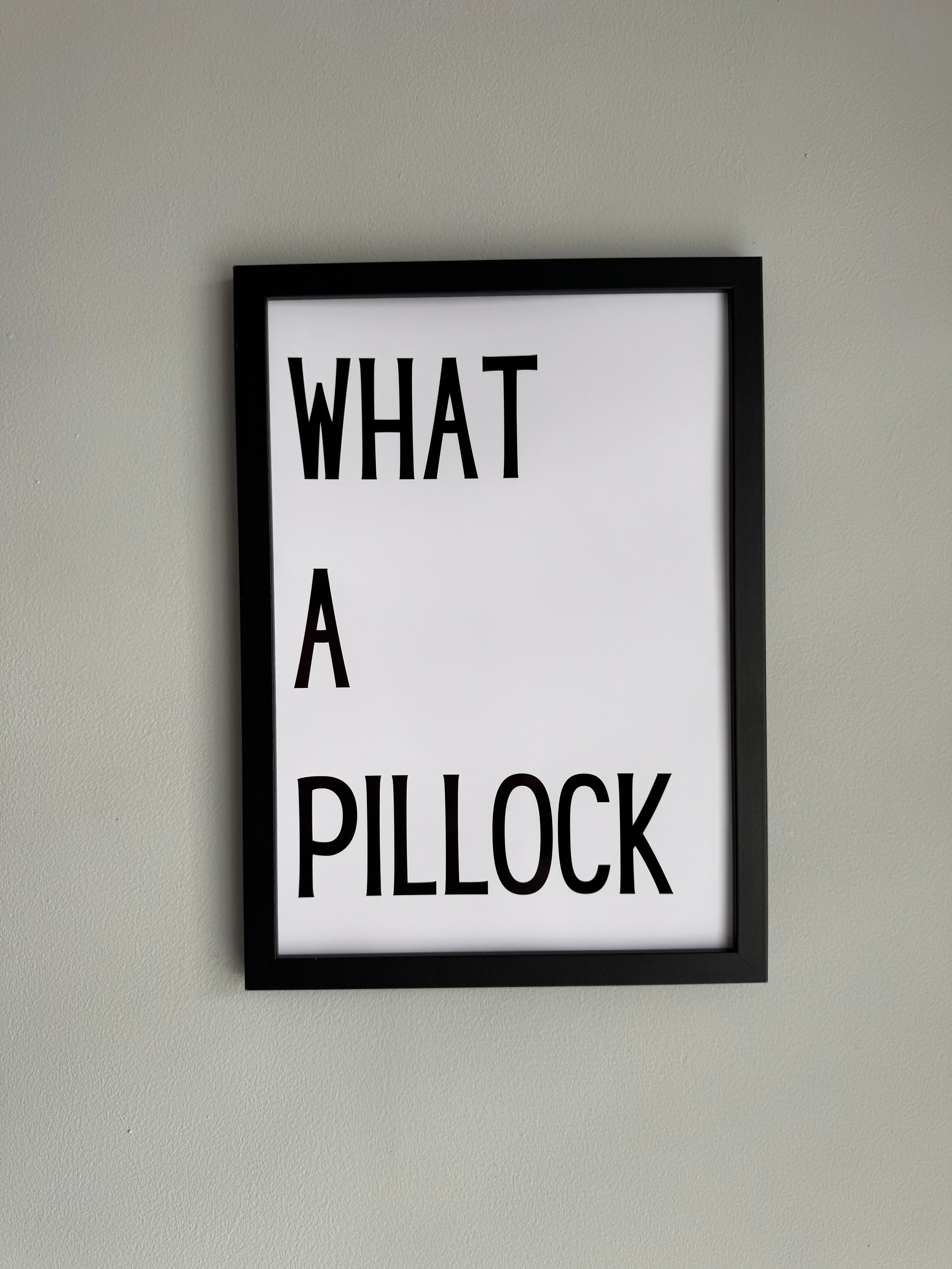 What a pillock - Minimalistic Northern Slang Typography - A4 Print